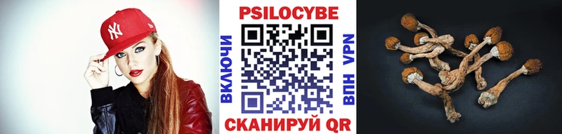 купить наркоту  Назрань  Галлюциногенные грибы GOLDEN TEACHER 