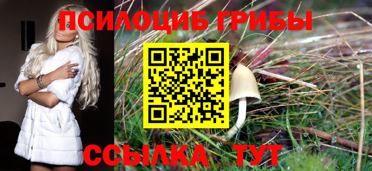 Псилоцибиновые грибы прущие грибы  Вход с VPN  Назрань 