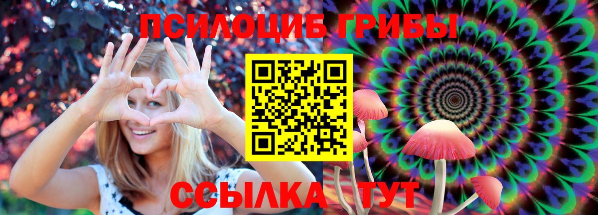 Псилоцибиновые грибы мицелий  Назрань  купить закладку  Галлюциногенные грибы прущие грибы 